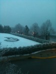Spring snow 2