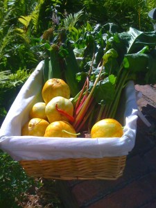 basket