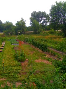 garden wide