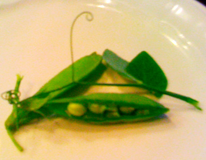 pea still life