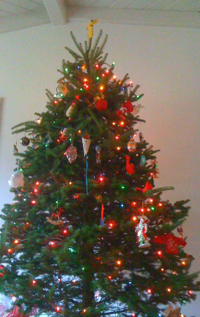 Tree