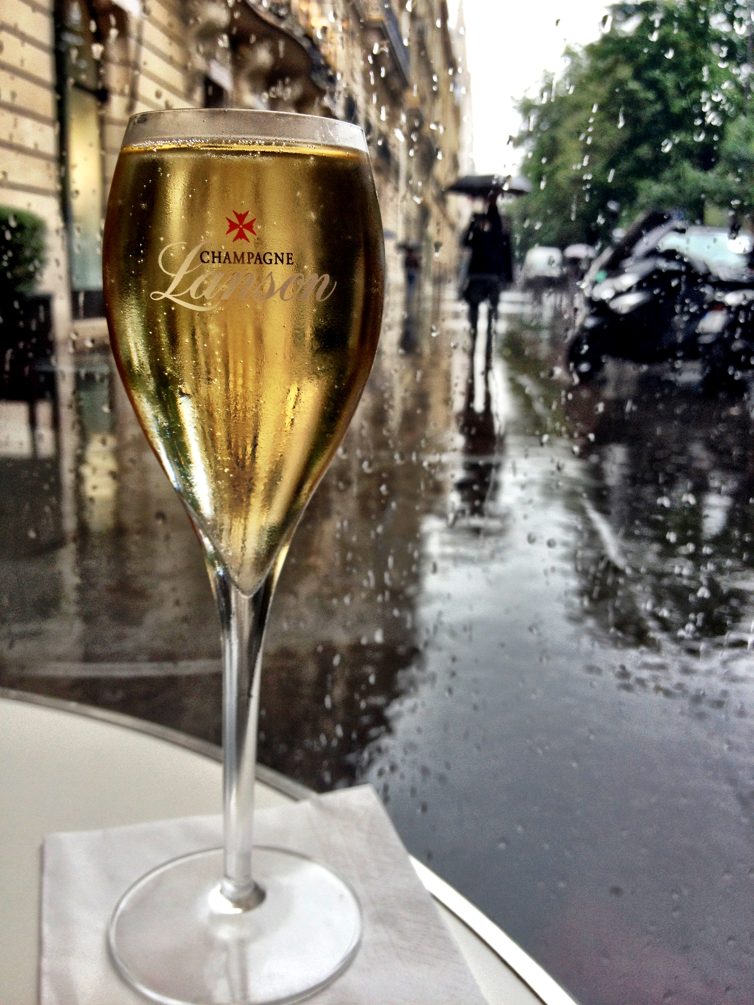 Paris in the rain