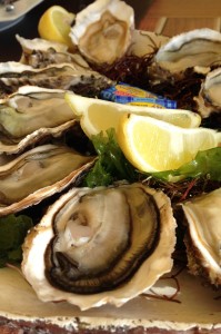 oysters in Brouzigues, France