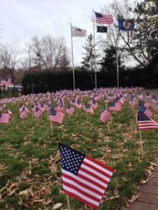 Flags in Wayzata