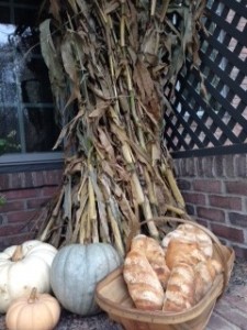 Thanksgiving harvest photo