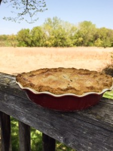 Rhubarb pie