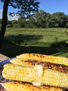 Corn from Dr. Bashioum's garden